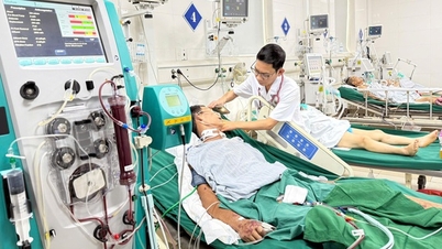Cứu sống bệnh nhân suy đa tạng nguy kịch do nhiễm liên cầu lợn