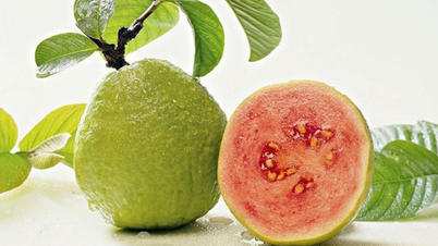 लाल फलों के 5 प्रकार जो बढ़ती उम्र के लक्षणों से लड़ते हैं और कोलेजन उत्पादन को बढ़ाते हैं।