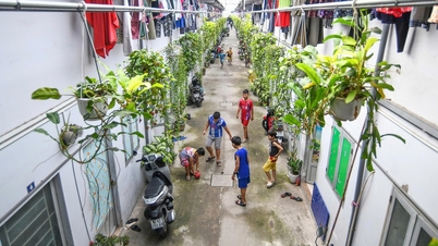 ভাড়ার জন্য বাড়ি তৈরি করাই সর্বোত্তম বিকল্প।