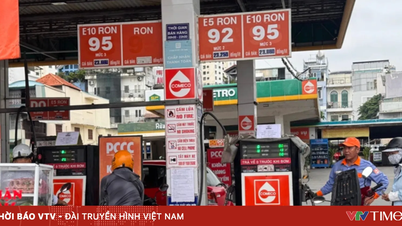La benzina E10 è ampiamente disponibile con un forte impegno.