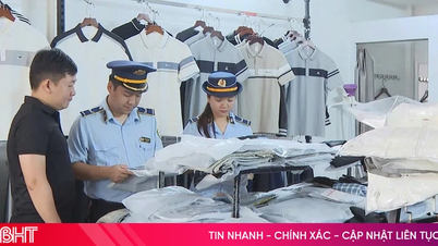 Take decisive action to prevent and address violations of intellectual property rights.