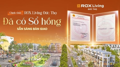 Shophouse Bắc Hà Tĩnh: Khi "tọa độ giao thương" trở thành mục tiêu săn đón của dòng tiền tích sản