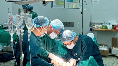 Nádor jater se zvětšil z 2 cm na 20 cm v důsledku samoléčby tradičními bylinnými prostředky doma.