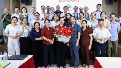The goal is to have 95% of elderly people participate in the association.