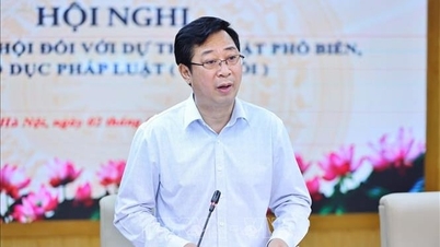 Návrh na udělení větších rolí Vietnamské vlasti a jejím členským organizacím při šíření právních informací.