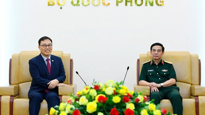 Promoting deeper and more in-depth defense cooperation between Vietnam and South Korea.
