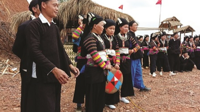 Cao Bang Department of Culture, Sports and Tourism: Implementing Decision 132/QD-BDTTG dated March 25, 2026 in the province.