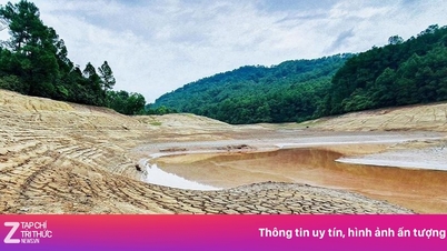 Er bestaat een kans dat El Niño vanaf juni optreedt, wat recordbrekende zonneschijn en ongewone stormen met zich meebrengt.