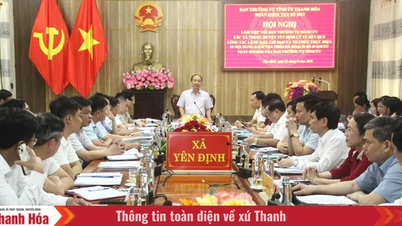 Permanent Vice Chairman of the Provincial People's Council Le Tien Lam inspects the implementation of the two-tiered local government system.