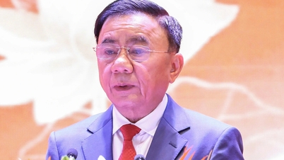ویتنام فادر لینڈ فرنٹ اور مرکزی عوامی تنظیموں کی پارٹی کمیٹی کی اسٹینڈنگ کمیٹی کے اختیارات کو وکندریقرت کرنے کا پائلٹ پروگرام۔