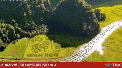 ខេត្តនិញប៊ិញកំពុងផ្ទៀងផ្ទាត់ព័ត៌មានដែលបានចែករំលែកដោយអ្នកទេសចរស្ត្រីម្នាក់អំពីបទពិសោធន៍ «ខាងវិញ្ញាណ» ដែលបង្កឱ្យមានការភ្ញាក់ផ្អើលនៅលើប្រព័ន្ធផ្សព្វផ្សាយសង្គម។
