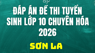 Son La'da 2 Haziran 2026 tarihinde yapılan 10. sınıf Kimya giriş sınavının cevapları.