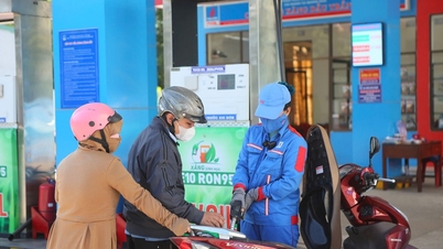 Quang Ngai stabiliseert de markt na als eerste E10-benzine te hebben geïntroduceerd.