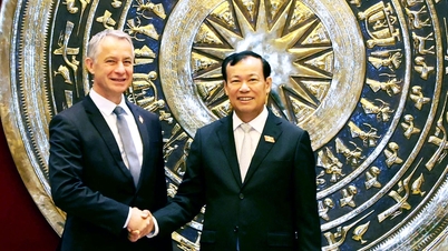 De voorzitter van de commissie Nationale Defensie, Veiligheid en Buitenlandse Zaken, luitenant-generaal Le Tan Toi, had een werkoverleg met de delegatie van de commissie Defensie en Strijdkrachten van de Franse Nationale Assemblee.