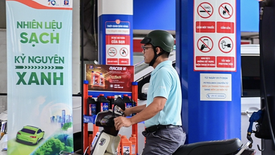 Vì sao không thử nghiệm xăng E10 trước khi đưa vào bán đại trà giống như xăng E5?