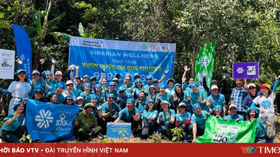 บริษัท Siberian Wellness และ Gen Well ได้ร่วมกันปลูกต้นไม้ 999 ต้นในป่ากุกฟอง