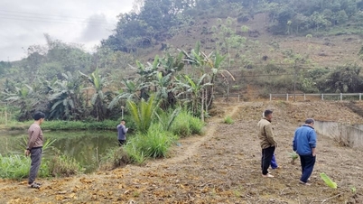En rekke landrelaterte myndighetsspørsmål i Lao Cai har blitt overført til kommunenivå.