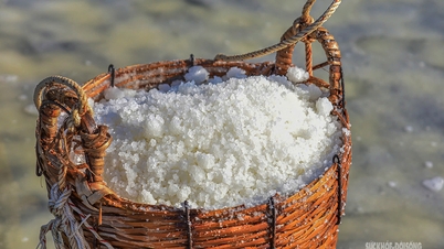 A beleza das salinas de Can Gio.