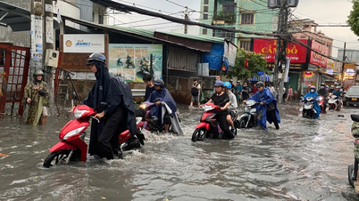 Cuestiones sociales acuciantes planteadas por los votantes en Ciudad Ho Chi Minh.