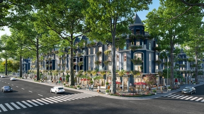 Le charme des villas néoclassiques et des maisons-boutiques d'Eurowindow Central Avenue.