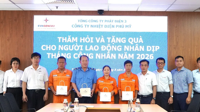 Công đoàn Công ty Nhiệt điện Phú Mỹ: thăm và tặng quà cho người lao động