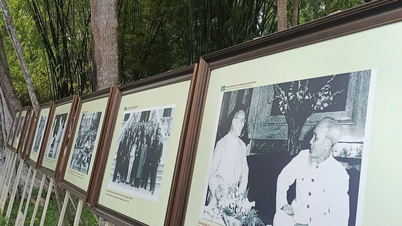 ภาพที่สมจริงของประธานาธิบดีโฮจิมินห์ ผ่านภาพถ่ายจากหอจดหมายเหตุ