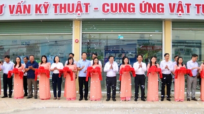 An Giang: Inauguración de un punto de suministro de consultoría técnica y material agrícola en la comuna de Binh Hoa.