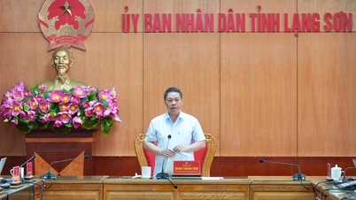 Kameraad Doan Thanh Son, vicevoorzitter van het Provinciaal Volkscomité: Mobiliseer middelen om de kandidaten te ondersteunen en ervoor te zorgen dat het examen serieus, veilig en humaan verloopt.