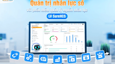 Lac Viet SureHCS는 대기업의 인적 자원 관리 문제를 해결합니다.