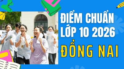 Puntuaciones mínimas de admisión para el décimo grado en Dong Nai en 2026.