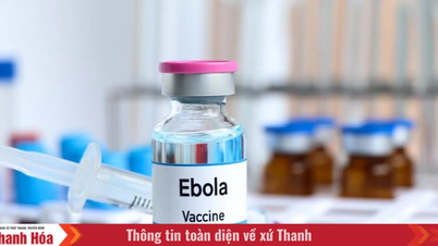 Die internationale Gemeinschaft beschleunigt die Entwicklung eines Ebola-Impfstoffs mit einem Finanzierungspaket in Höhe von 60 Millionen Dollar.