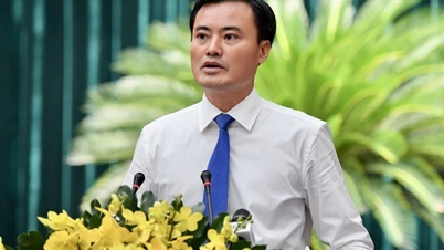 Phó Chủ tịch TPHCM Bùi Xuân Cường kiêm thêm nhiệm vụ mới