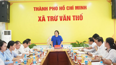 De delegatie van het partijcomité van Ho Chi Minh-stad werkte samen met het partijcomité van de gemeente Tru Van Tho.