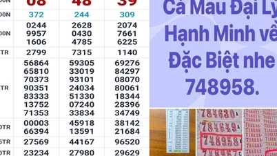 Vinnerne av Sør-Vietnam-lotteriet er avslørt i Ho Chi Minh-byen, Can Tho og Vinh Long.
