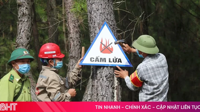 62 kecamatan dan wilayah di provinsi Ha Tinh berada pada risiko kebakaran hutan yang sangat tinggi.
