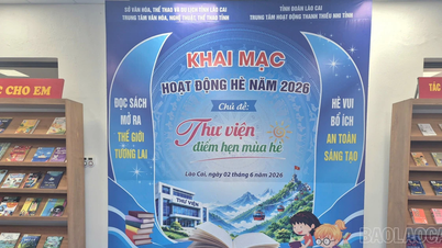 Attività estive entusiasmanti per bambini presso la Biblioteca provinciale di Lao Cai.