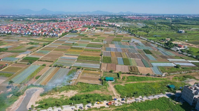 Phía Bắc Hà Nội là 'vùng trũng giá' cuối cùng của Thủ đô?