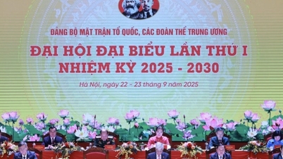 Nouvelle réglementation relative à la structure organisationnelle du Comité du Parti du Front de la Patrie du Vietnam et des organisations de masse centrales.