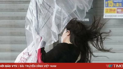 Typhoon Jangmi disrupted hundreds of flights in Japan.