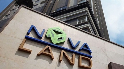 Οι μετοχές της Novaland καταρρέουν, ενώ μια άλλη μετοχή επεκτείνει το ανοδικό της σερί σε 19 συνεδριάσεις.