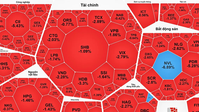 Η αγορά βυθίστηκε στο κόκκινο, με τον δείκτη VN να υποχωρεί για έκτη συνεχόμενη συνεδρίαση.