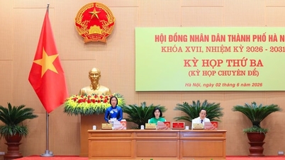 Hanoi telah menggubal pelbagai dasar untuk menggalakkan penyelidikan saintifik dan pembangunan teknologi.