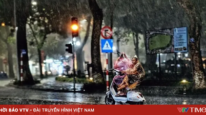پیش‌بینی‌ها حاکی از بارندگی بیشتر در شمال ویتنام در ماه ژوئن امسال نسبت به سال‌های گذشته است.