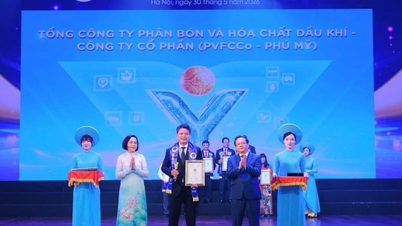 Partiendo de una sólida base manufacturera, PVFCCo logra un "doble triunfo" en los premios Vietnam I4 Impact Awards 2026.