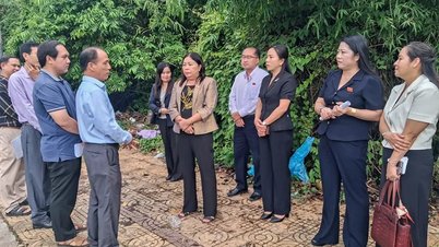 Jawatankuasa Tetap Majlis Rakyat Bandar Can Tho telah meninjau situasi pengumpulan, pengangkutan dan rawatan sisa pepejal di wad Phu Loi.