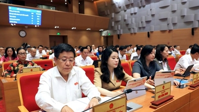 تحدد هانوي مقدار الهدايا المقدمة للأفراد المستحقين والمستفيدين من السياسات الاجتماعية.