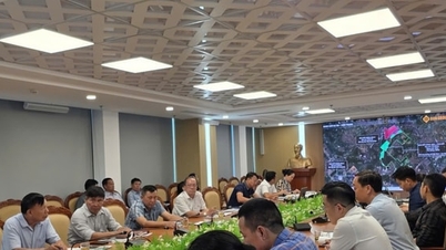 동안 면은 동안 2, 3 도시 지역의 토지 정리 관련 정보를 제공합니다.