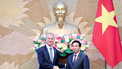 El vicepresidente de la Asamblea Nacional, el teniente general Nguyen Doan Anh, recibió a la delegación de la Comisión de Defensa y Fuerzas Armadas de la Asamblea Nacional francesa.