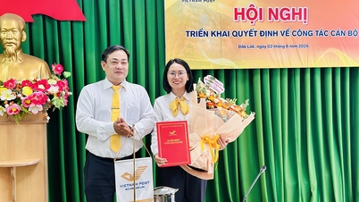 Vietnam Post Corporation appoints Director of Dak Lak Provincial Post Office.