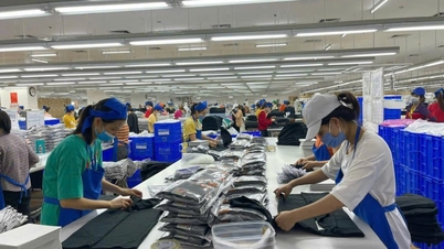Quy định về hoạt động hỗ trợ đào tạo nghề cho lao động thất nghiệp